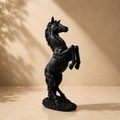Majestic Black Stallion