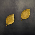 Set of 2 Golden Leaf Wall DÃ©cor Gold, Small
