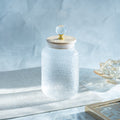 Hammered 750ml Glass Jar with Crystal Airtight Lid, Clear